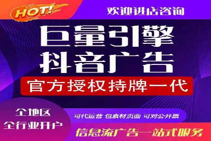 竞价账户优化：成功企业的广告策略揭秘